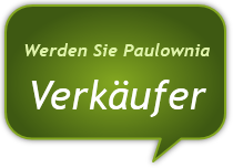 Werden Sie Paulownia